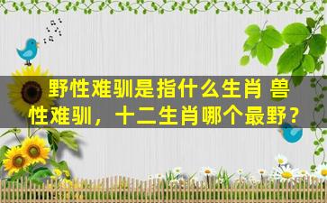 野性难驯是指什么生肖 兽性难驯，十二生肖哪个最野？